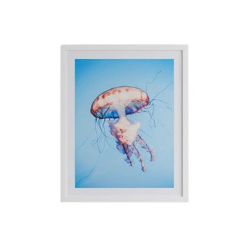 Obraz w ramie Ars Longa meduza na tle oceanu 53 x 43 cm