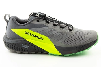Buty męskie Salomon Sense Ride 5 do biegania w terenie szare