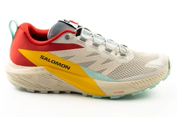Buty męskie Salomon Sense Ride 5 do biegania w terenie beżowe