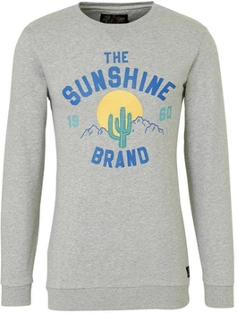 Bluza męska Shiwi Mikina The Sunshine szara  z nadrukiem