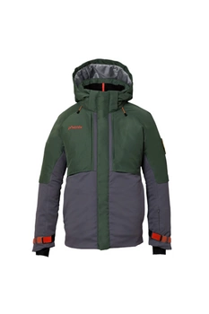 Kurtka męska Phenix Alpine Active Gtx zimowa narciarska zielona szary r. L