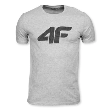 Koszulka męska 4F Basic bawełniana szara