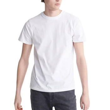 Koszulka męska Superdry The Standard Label biały t-shirt