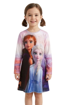 Sukienka dziewczęca Desigual Autumn z nadrukiem Frozen